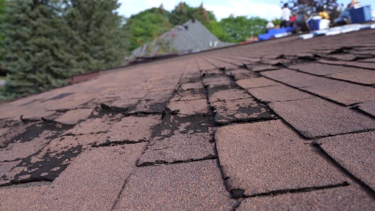 Best Roof Insulation Installation  in Silver Hill, MD
